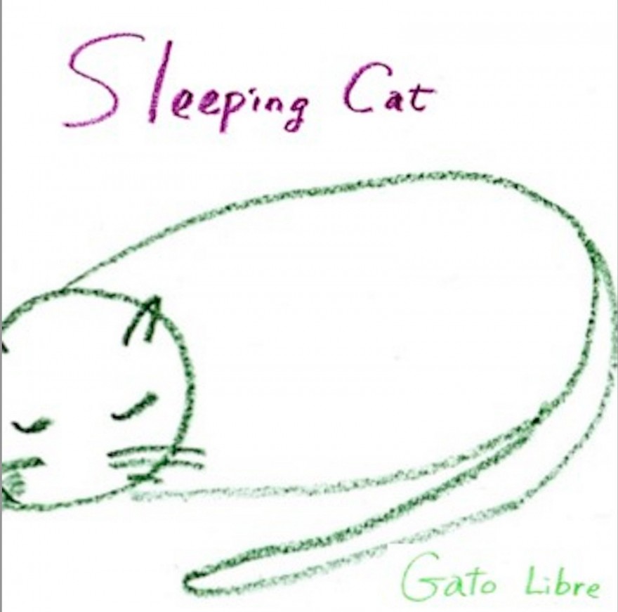 Sleeping Cat _ Cover